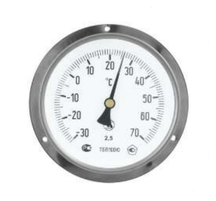 ТБП100Н/БФ термометр