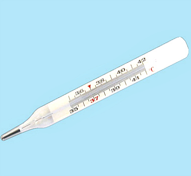 Медицинский термометр стеклянный максимальный (градусник +35+42C)