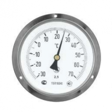 ТБП100Н/БФ термометр